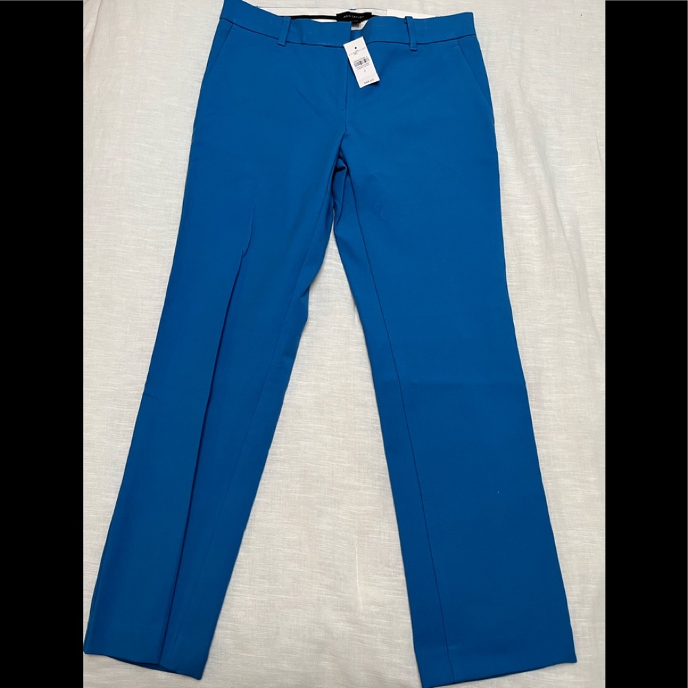 Ann Taylor ankle pants